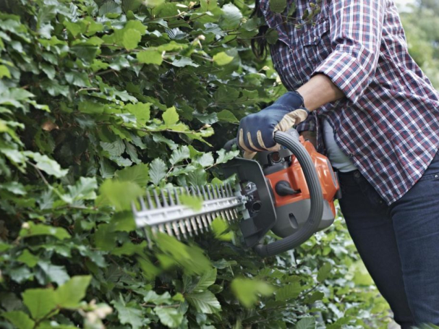 Hedge Trimmer 122HD60